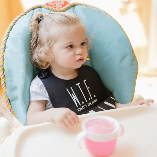 Pavilion Gift Company W.T.F. 12" Silicone Catch All Bib