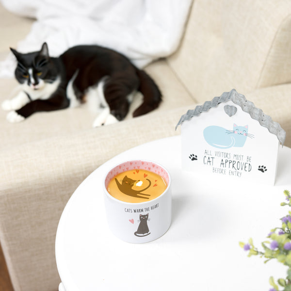 Pavilion Gift Company Warm The Heart 8 Oz 100% Soy Wax Reveal Single Wick Candle Scent: Tranquility