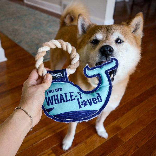 Pavilion Gift Company Whale-y Loved 8" Canvas Dog Toy On Rope