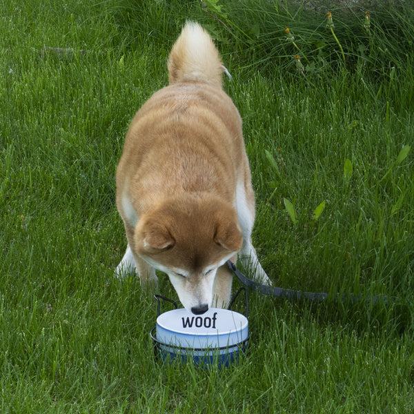 Pavilion Gift Company Woof 27 Oz Ceramic Pet Bowl With Metal Stand