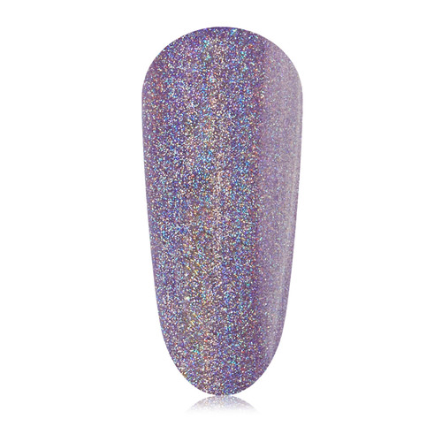 peacci Abu Dhabi Nights