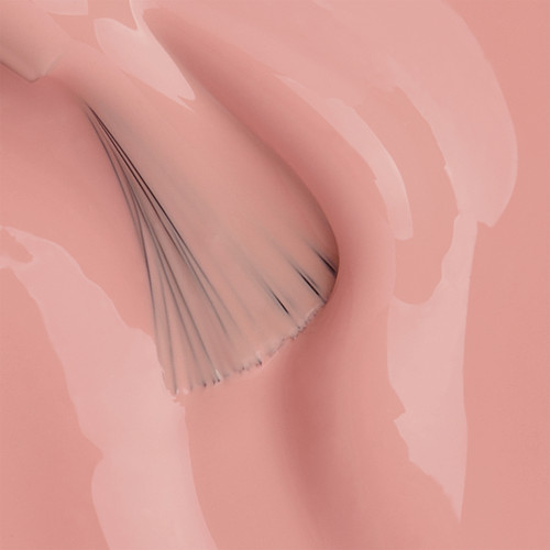 Peacci Best-Selling BIAB™ Bundle