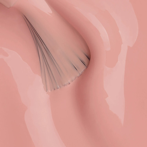 Peacci Teddy Hard BIAB™