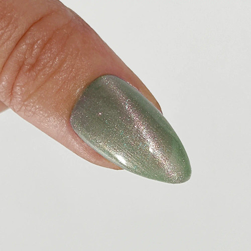 Peacci That Girl Magnetic