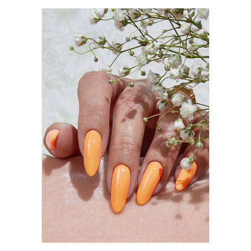 Peacci Turner's Sunset