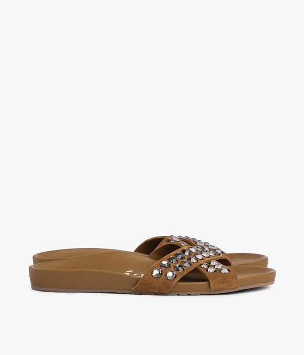 Pedro Garcia Analis / Alpaca Castoro