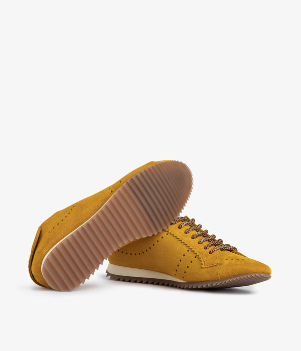 Pedro Garcia Celin / Mimosa Castoro