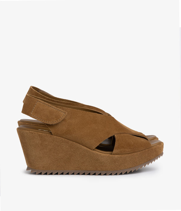 Pedro Garcia Federica / Alpaca Castoro