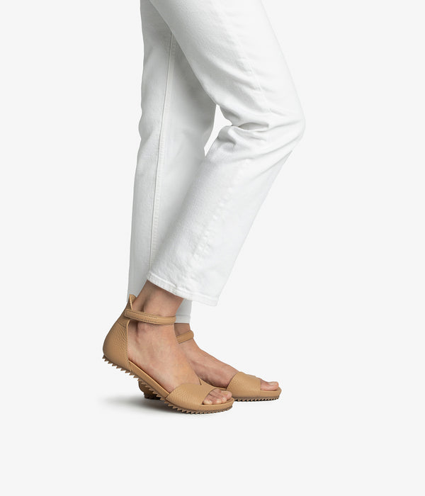 Pedro Garcia Jela / Camel Cervo