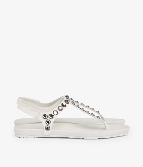 Pedro Garcia Judith / Chalk Castoro Calzado