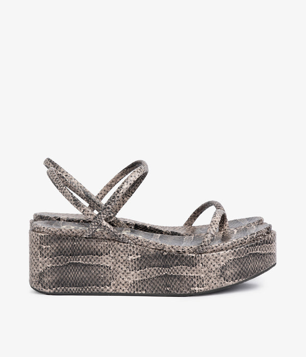 Pedro Garcia Nibia / Sand Vipera