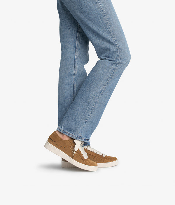 Pedro Garcia Perry / Alpaca Castoro