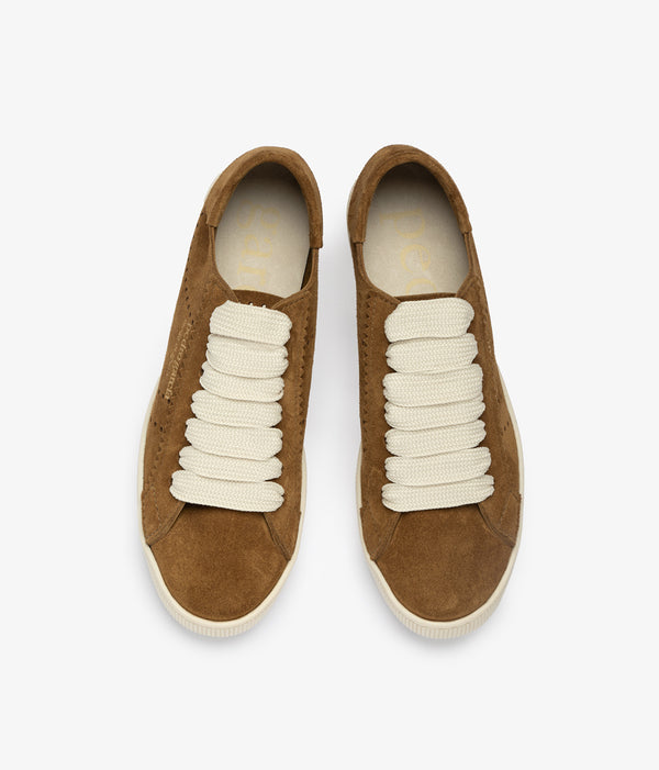 Pedro Garcia Perry / Alpaca Castoro