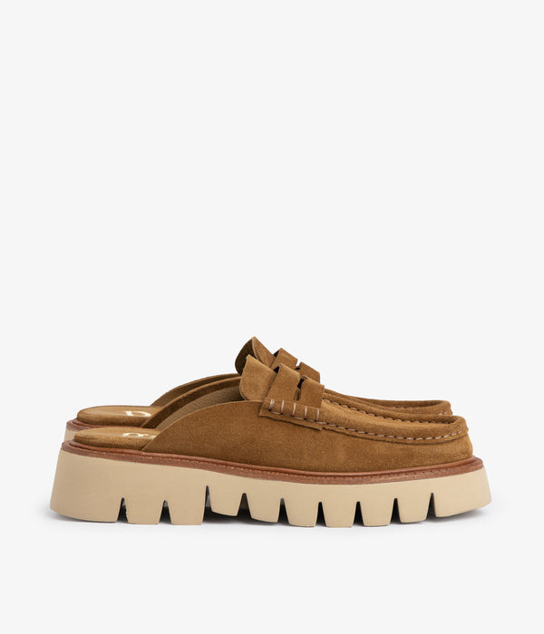 Pedro Garcia Savy / Alpaca Castoro