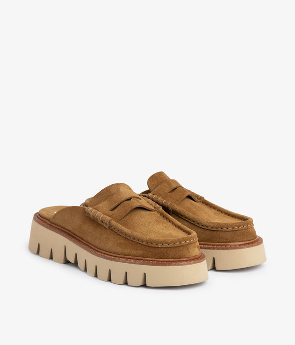 pedro garcia savy / alpaca castoro