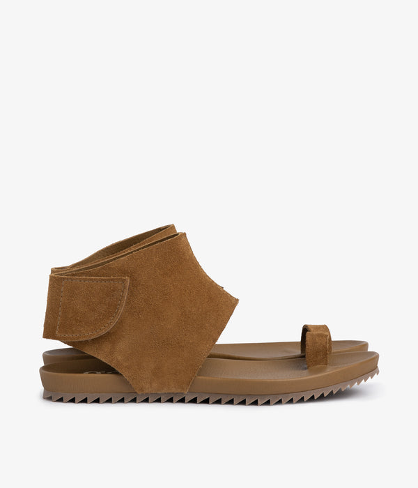 Pedro Garcia Vania / Alpaca Castoro