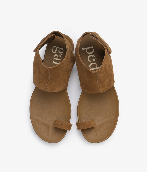 Pedro Garcia Vania / Alpaca Castoro