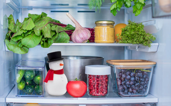 peleg design Freezy Fridge Deodorizer