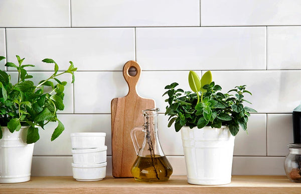 Peleg Design Leafers Herb Snips