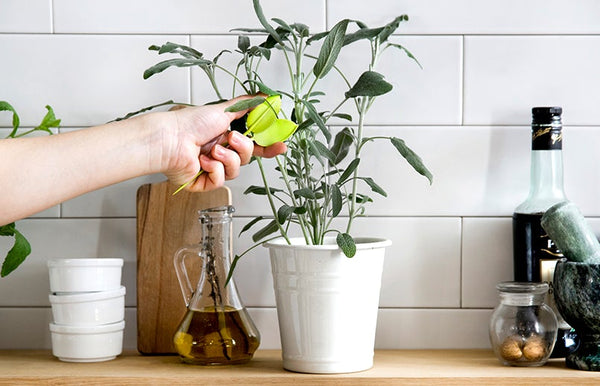 peleg design Leafers Herb snips