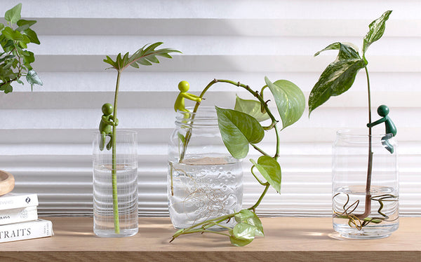 Peleg Design Leafriend Plant Propagation Buddy
