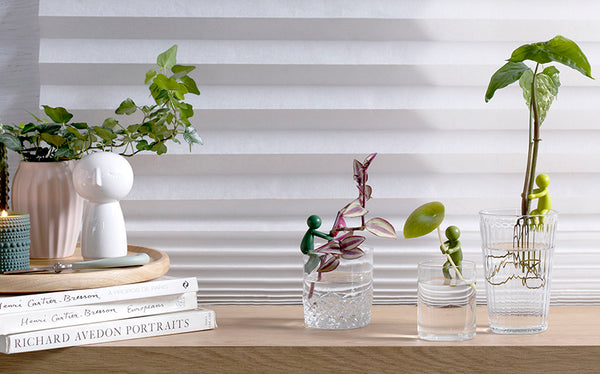 peleg design Leafriend Plant Propagation Buddy