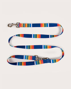 Pendleton CRATER LAKE NATIONAL PARK ADVENTURE LEASH