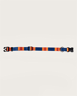 Pendleton GRAND CANYON NATIONAL PARK ADVENTURE COLLAR