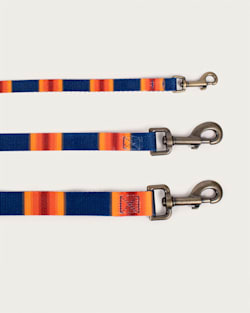 Pendleton GRAND CANYON NATIONAL PARK ADVENTURE LEASH