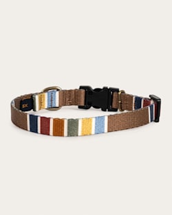 Pendleton JOSHUA TREE NATIONAL PARK ADVENTURE COLLAR