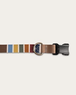 Pendleton JOSHUA TREE NATIONAL PARK ADVENTURE COLLAR