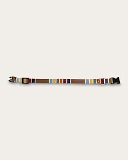 Pendleton JOSHUA TREE NATIONAL PARK ADVENTURE COLLAR