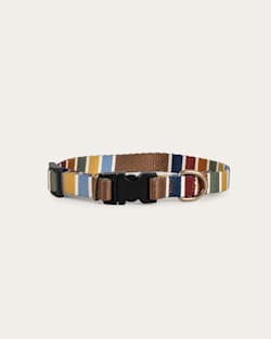 pendleton JOSHUA TREE NATIONAL PARK ADVENTURE COLLAR