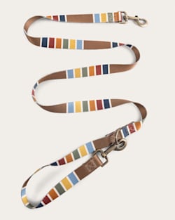 Pendleton JOSHUA TREE NATIONAL PARK ADVENTURE LEASH