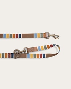 Pendleton JOSHUA TREE NATIONAL PARK ADVENTURE LEASH