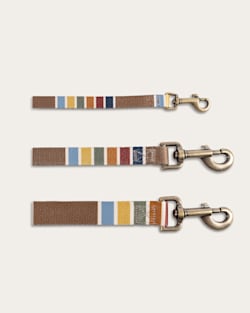 Pendleton JOSHUA TREE NATIONAL PARK ADVENTURE LEASH