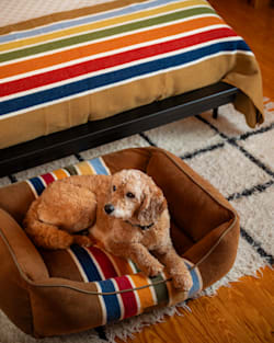 Pendleton JOSHUA TREE NATIONAL PARK PET BED - KUDDLER
