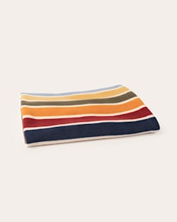 Pendleton JOSHUA TREE NATIONAL PARK PET CRATE BLANKET