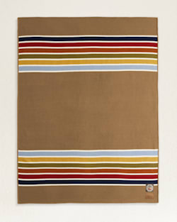 pendleton JOSHUA TREE NATIONAL PARK THROW WITH CARRIER
