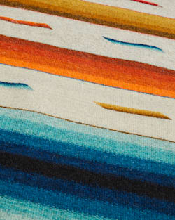 Pendleton ARCO IRIS RUG