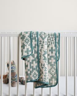 pendleton BLUE RIDGE ORGANIC COTTON BABY BLANKET