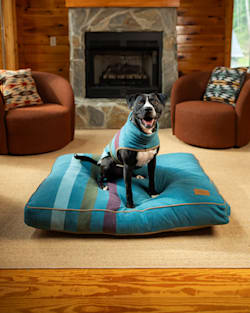 Pendleton CABIN STRIPE PET BED - NAPPER