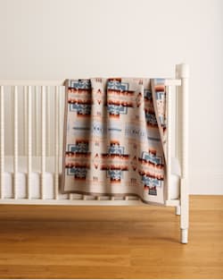 pendleton CHIEF JOSEPH CRIB BLANKET
