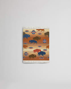 Pendleton COASTER RUG