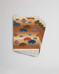 pendleton COASTER RUG