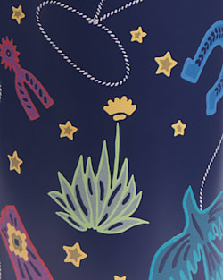 Pendleton COSMIC RODEO 12 OZ INSULATED BOTTLE