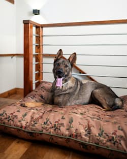 Pendleton COWBOY PLAINS ALL SEASON PET BED - NAPPER