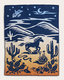 Pendleton DESERT DREAM CRIB BLANKET