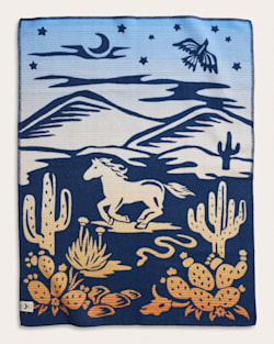 Pendleton DESERT DREAM CRIB BLANKET