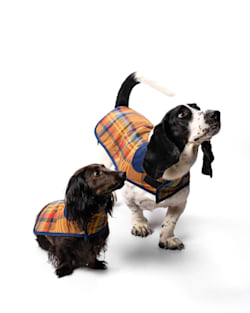 Pendleton DESERT PLAID PET COAT